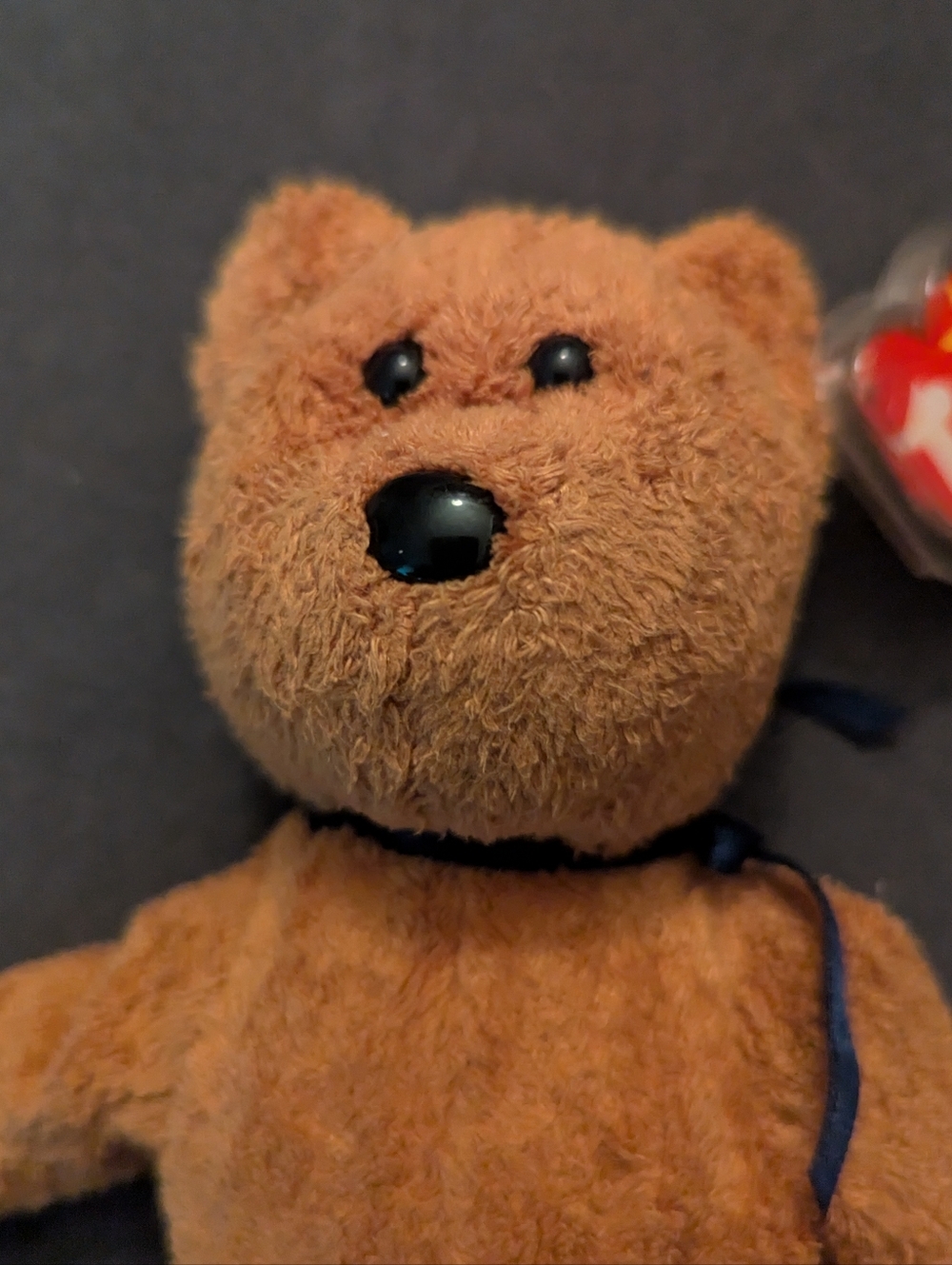 Ty Beanie Baby Fuzz the Bear 1998 Tylon Fabric Shaggy Plush Toy NWT - Picture 2 of 7